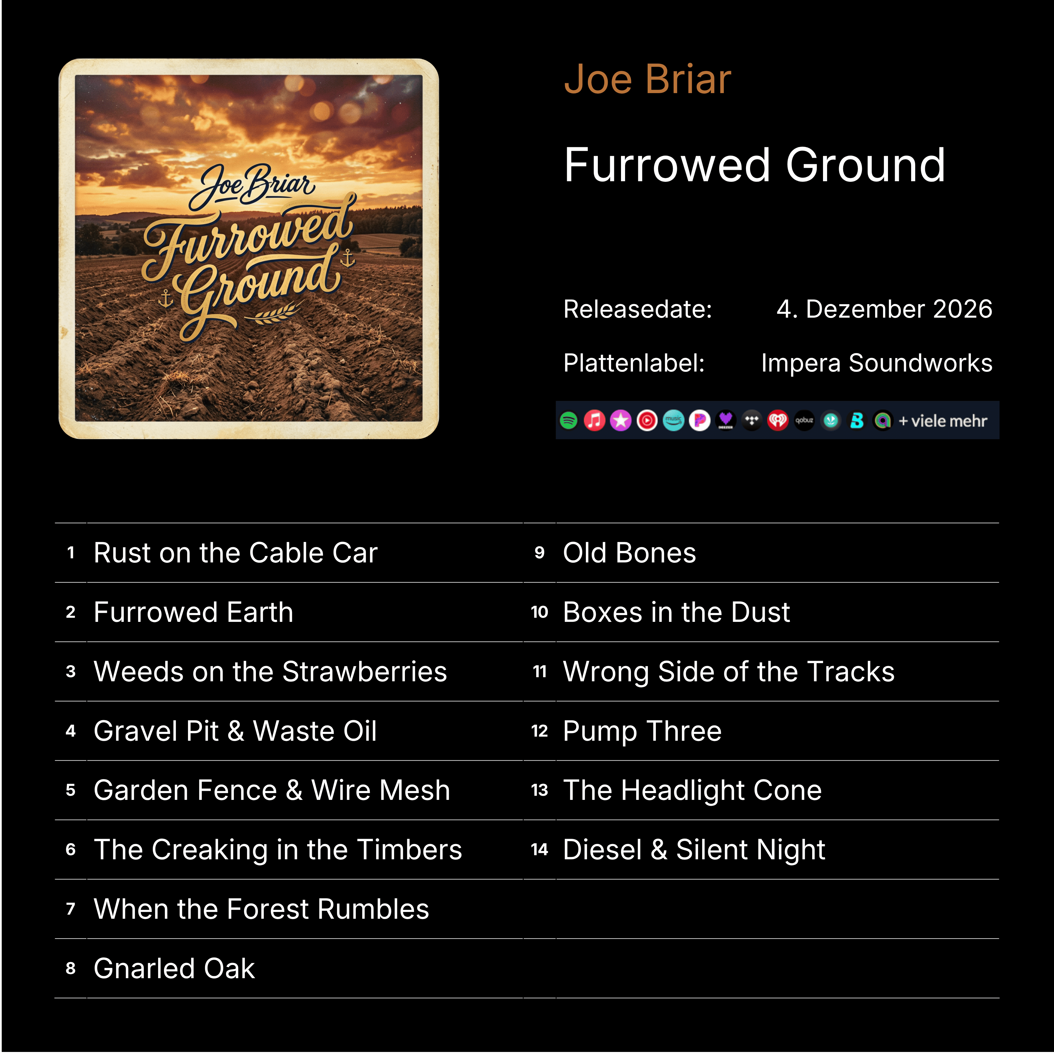 album_2_joe_briar.png
